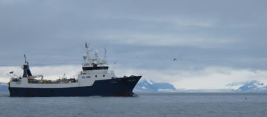 Arrastrero dedicado a la pesca de gambas en aguas del Ártico europeo (foto: Sergio Rejado).